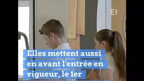 TROP DE VIANDE À LA CANTINE ? DES PARENTS D'ÉLÈVES DEMANDENT DAVANTAGE DE MENUS VÉGÉTARIENS