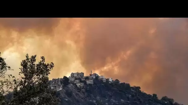 Algérie : des incendies attisés par la canicule font plus de 40 morts • FRANCE 24