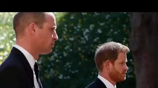 le code «secret» de Harry et William et ce que cela signifiait aux funérailles royales