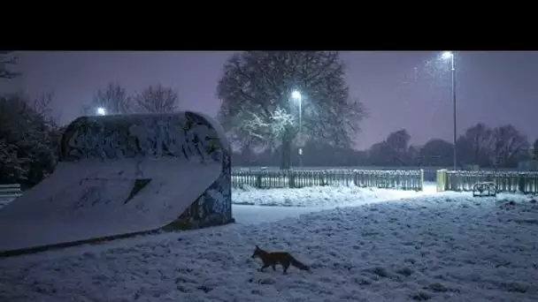 Blizzards, brouillards verglaçants... La neige fait son grand retour en Europe