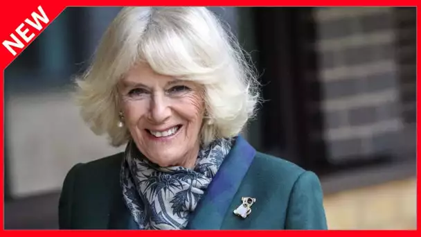 ✅  Camilla Parker-Bowles se fait voler la vedette par un chien : cette adorable vidéo