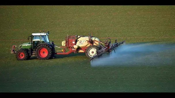 Le gouvernement lance une consultation sur l'interdiction des pesticides près des habitations