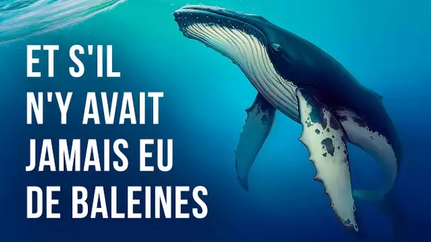 Et s’il n’y avait plus de baleines sur Terre ?