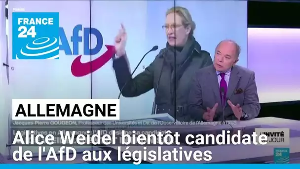 Législatives en Allemagne : Alice Weidel bientôt intrônisée comme candidate de l'AfD