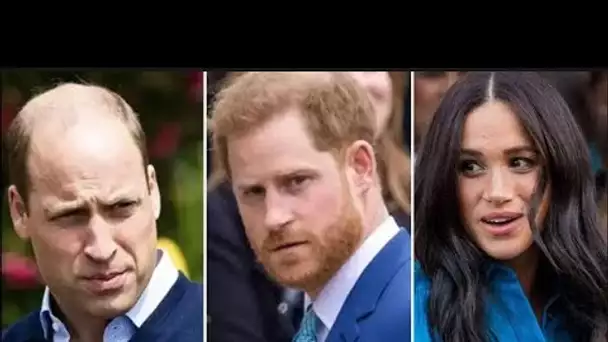 Le prince William a « donné à Meghan Markle le sentiment d'être un criminel condamné » avec un coup