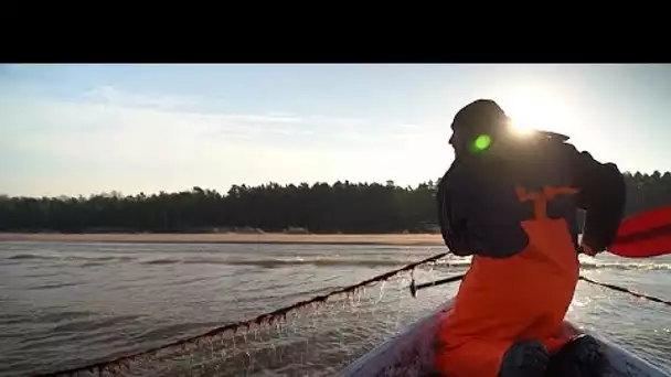 La Baltique, plus jeune mer de la planète, frappée de plein fouet par le réchauffement climatique