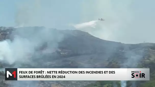 Feux de forêt au Maroc : nette réduction des incendies et des surfaces brûlées en 2024