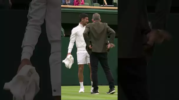 🎾 Novak Djokovic tente de sécher le Centre Court de Wimbledon... avec une serviette !! 😅😂 #Shorts