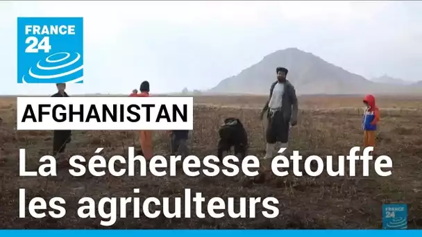 Afghanistan : face à une sécheresse à rallonge, les agriculteurs et les récoltes menacés