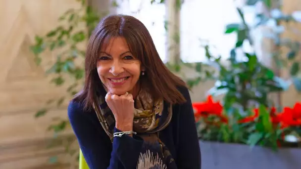 «Anne Hidalgo, l'hôpital qui se moque de la charité ou le jet qui critique les SUV !»