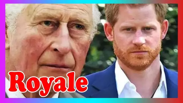 Le prince Harry gardera une courte visite à Charles p@r crainte d'intrusion ''Pas très privé!''