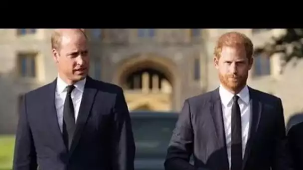 Royal Family LIVE: les mémoires du prince Harry ont une "résonance biblique" pour "faire face" à Wil