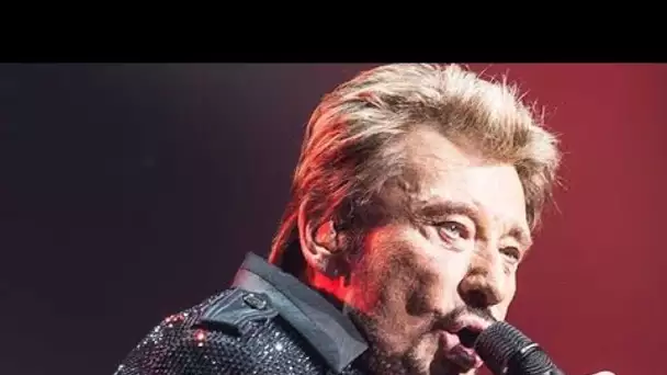 Johnny Hallyday : pourquoi il n’aurait jamais signé son testament sans savoir ce qu’il signait