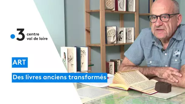 Berry :  transformez d'anciens livres en objets d'art créatif, une véritable passion