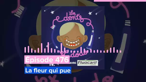 Les dents et dodo - Épisode 476 : La fleur qui pue