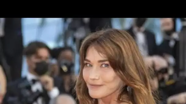 Carla Bruni cash sur ses points communs avec Nicolas Sarkozy : « Nous avons le même...