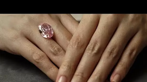 Un diamant rose adjugé pour 22,5 millions d'euros