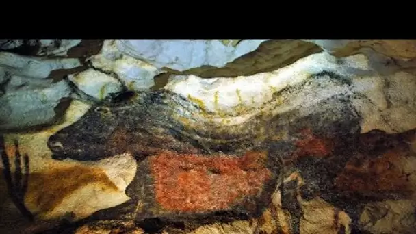 France : des torches pour visiter la réplique de la grotte de Lascaux