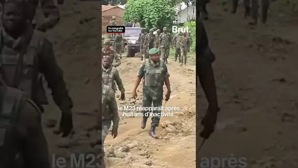 Les massacres du M23, le mouvement qui déstabilise l’Afrique de l’est.⁣