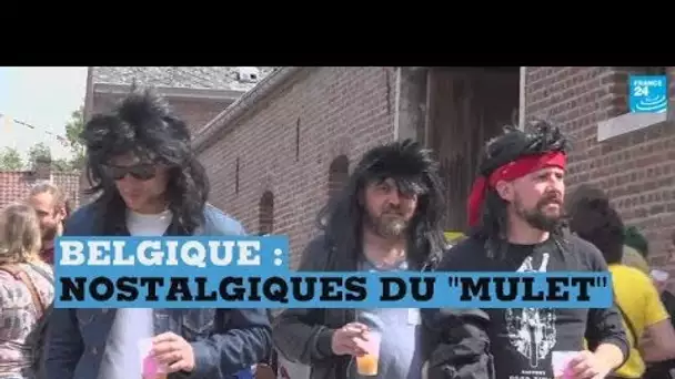 La coupe mulet a désormais son festival en Belgique