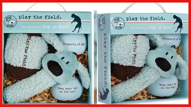 Dog is Good 4-Piece Dog Toy Gift Box – Play The Field Plush Toys Great for Games of Fetch