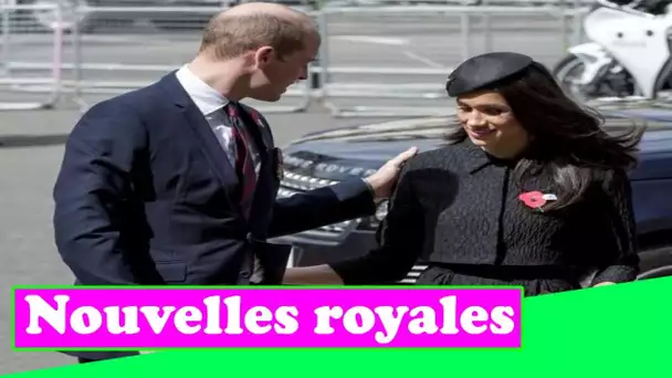 William pensait que Meghan Markle avait un "agenda" car elle "gouvernait par la peur", selon un nouv