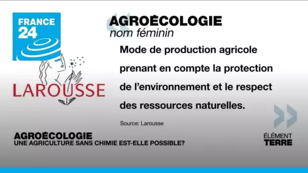 L'agroécologie, une agriculture sans pesticides: utopie ou nécessité? • FRANCE 24