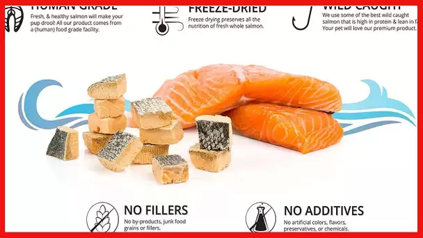 All Natural Freeze Dried Salmon Dog Treats – with Omega 3 and Omega 6 Fish Oil – by IM K9 – 100%