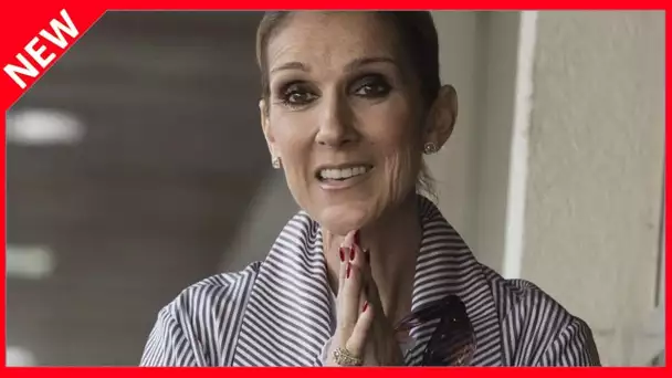 ✅  « La plus grosse blague ! » : Céline Dion mêlée malgré elle à la campagne de Donald Trump