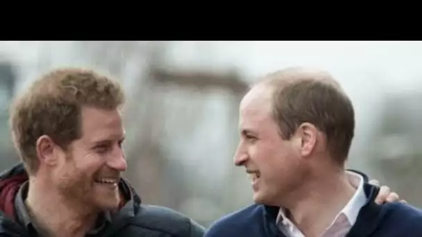 Hommage à Lady Diana : ce premier pas du prince William vers son frère Harry juste...