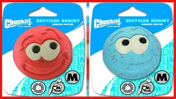 ChuckIt! Recycled Remmy Ball Dog Toy, Medium