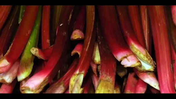 Eau aromatisée et clafoutis : deux façons de cuisiner la rhubarbe pour changer de la tarte