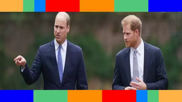 William et Harry  découvrez ce cousin méconnu qui devient mannequin