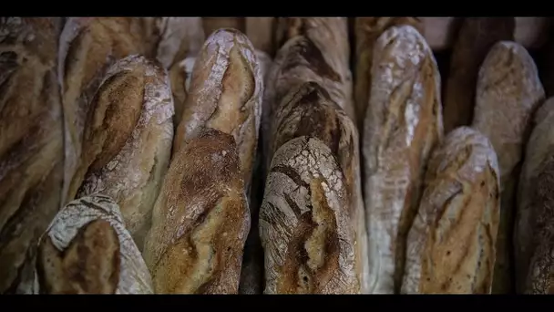 La baguette tradition, tout un business