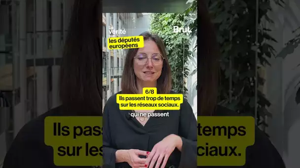 La vérité sur les députés européens par Saskia Bricmont, députée européenne belge (6/8)