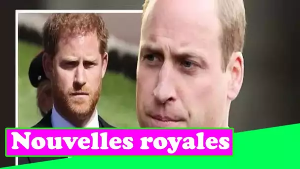 Famille royale EN DIRECT: Harry a porté un coup dur après la révélation des héroïques de William e