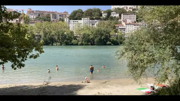 Canicule : ces Lyonnais qui se rafraîchissent dans le Rhône malgré l'interdiction