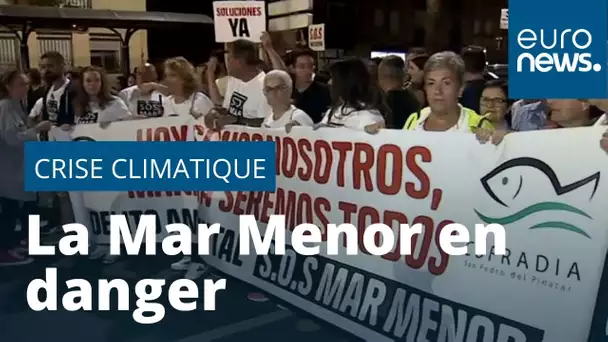 Manifestation en Espagne pour alerter sur l'urgence climatique de la Mar Menor