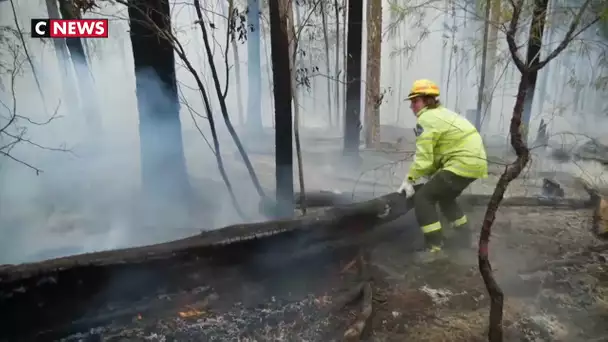 Australie : l'île Kangourou dévastée par les incendies