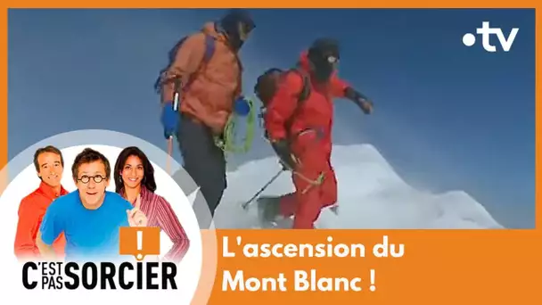 L'ascension du Mont Blanc ! - C'est pas sorcier [Intégrale]