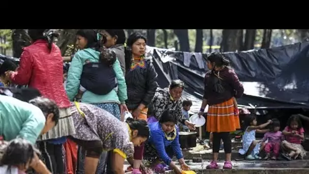 Colombie : indigènes en danger