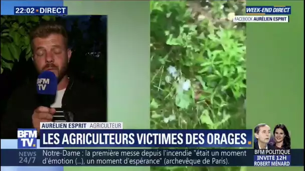 Grêle dans la Drôme: "On n'a jamais vu ça de toute notre vie", témoigne un agriculteur