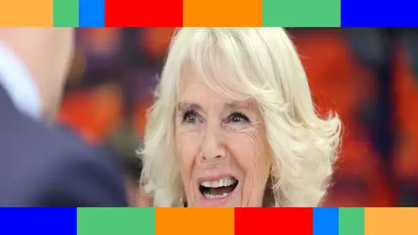 « Impossible à ignorer »  Camilla Parker Bowles choquée par un geste très déplacé de Joe Biden