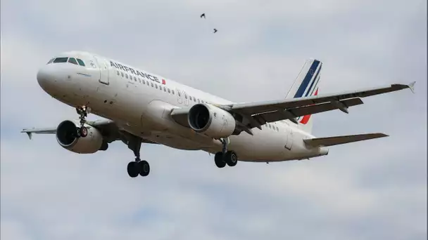 Pourquoi les prix des billets d'avion et des péages pourraient bientôt augmenter ?