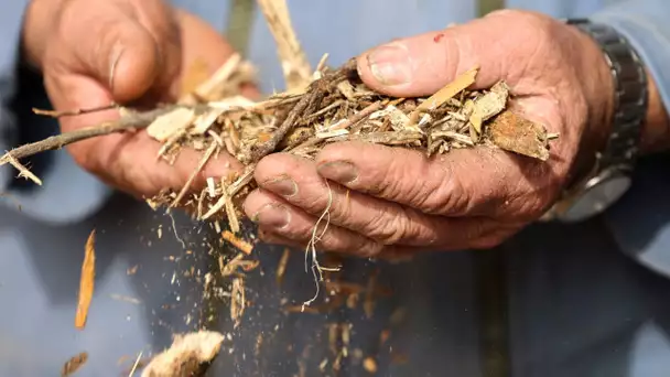 L’Europe agricole face au défi des sécheresses à répétition