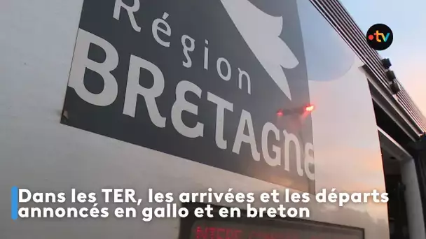 TER en gallo et en breton