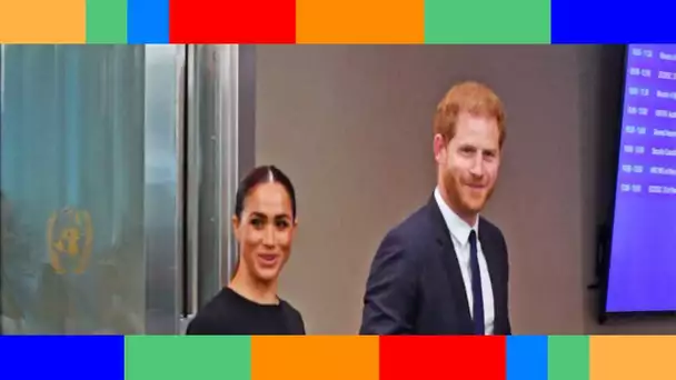 Meghan Markle et Harry en danger : un animal dangereux aperçu près de leur manoir