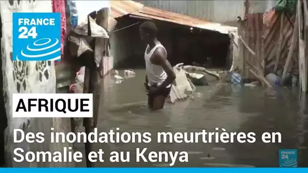 Des inondations meurtrières en Somalie et au Kenya • FRANCE 24