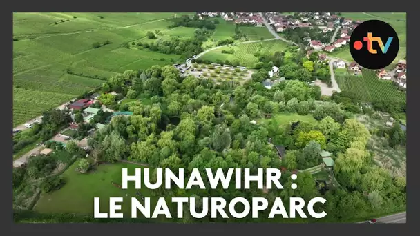 Un lieu, des histoires à Hunawihr : le Naturoparc - Episode 2/4