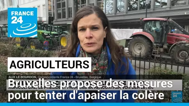 Bruxelles propose plusieurs mesures pour tenter d'apaiser la colère du monde agricole • FRANCE 24